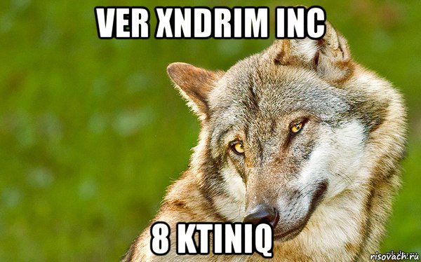 ver xndrim inc 8 ktiniq, Мем   Volf