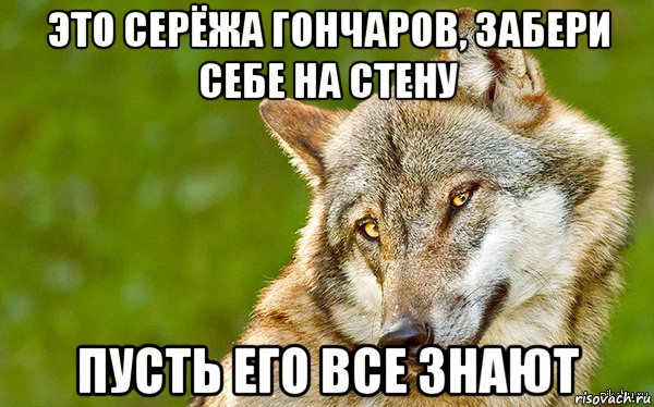 это серёжа гончаров, забери себе на стену пусть его все знают, Мем   Volf