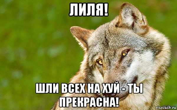 лиля! шли всех на хуй - ты прекрасна!, Мем   Volf