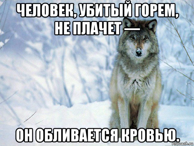 человек, убитый горем, не плачет — он обливается кровью., Мем Волк