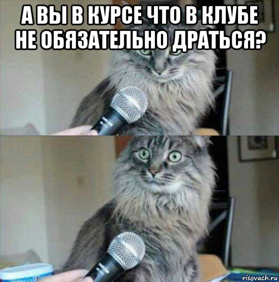 а вы в курсе что в клубе не обязательно драться? 