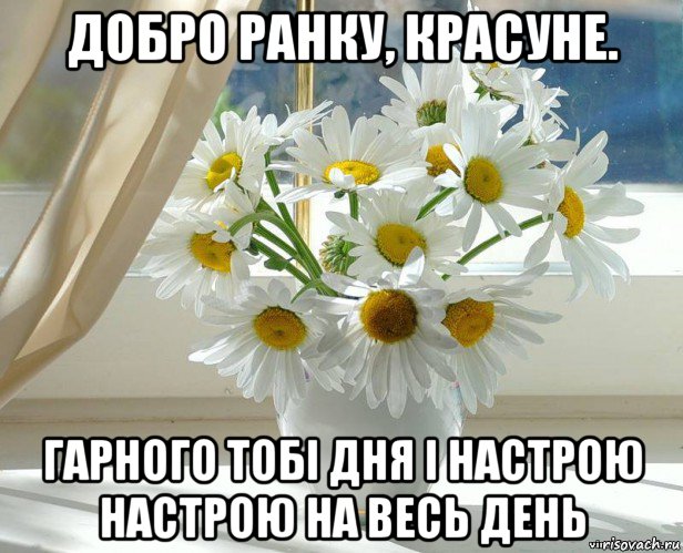 добро ранку, красуне. гарного тобі дня і настрою настрою на весь день