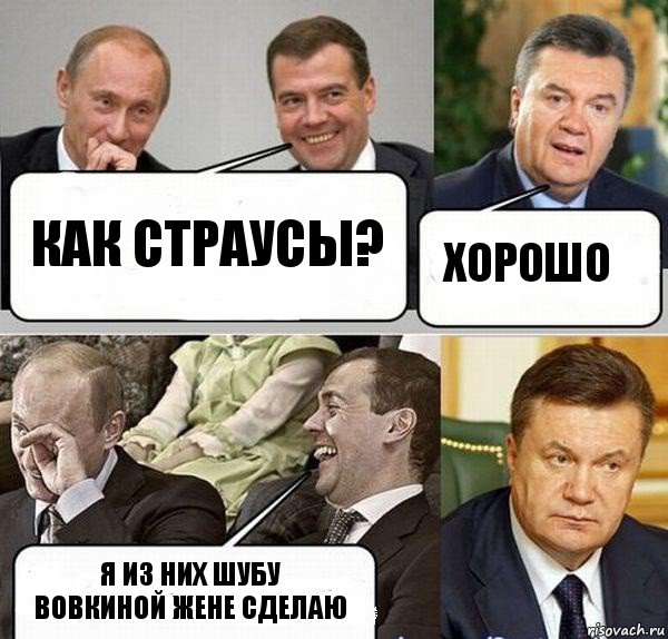 как страусы? хорошо Я из них шубу вовкиной жене сделаю, Комикс  Разговор Януковича с Путиным и Медведевым