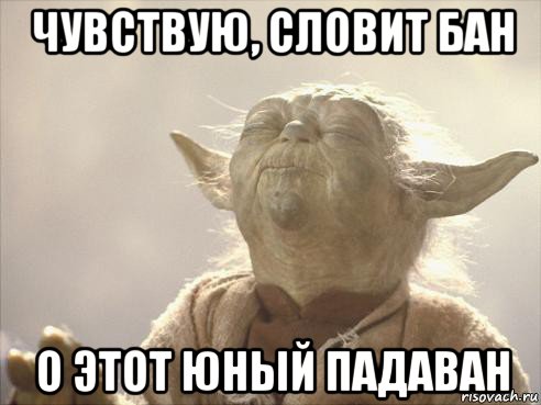 чувствую, словит бан о этот юный падаван, Мем Йода