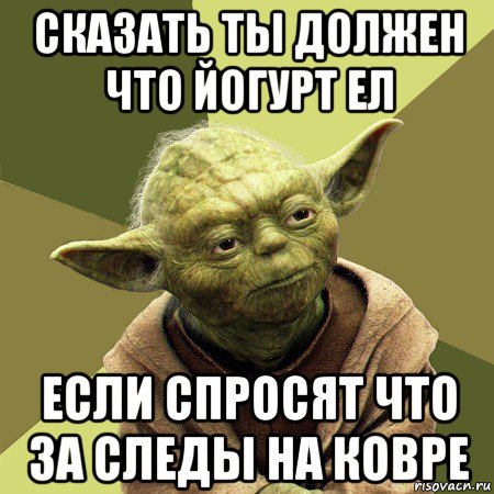 сказать ты должен что йогурт ел если спросят что за следы на ковре, Мем Йода