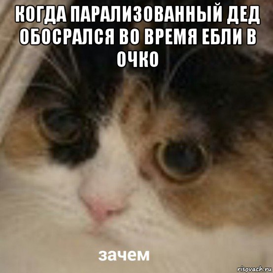 когда парализованный дед обосрался во время ебли в очко , Мем Зачем