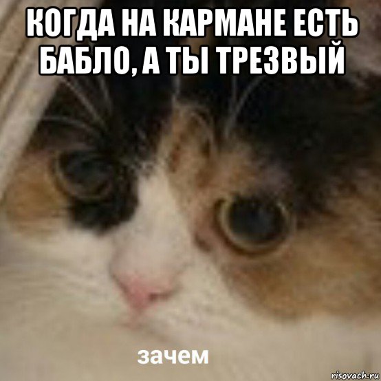 когда на кармане есть бабло, а ты трезвый , Мем Зачем