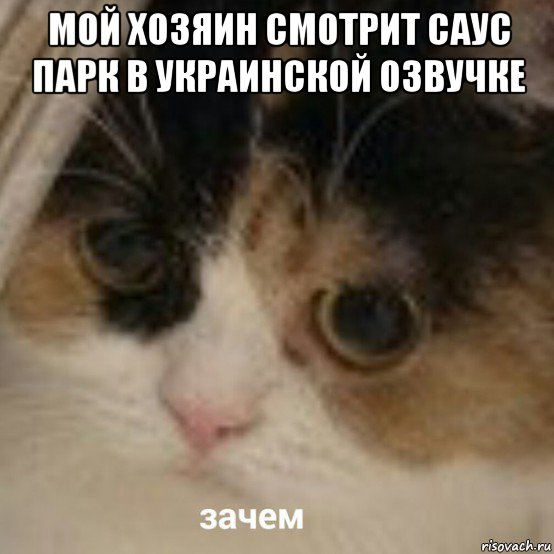 мой хозяин смотрит саус парк в украинской озвучке , Мем Зачем