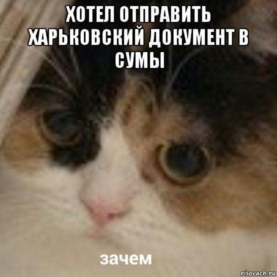 хотел отправить харьковский документ в сумы , Мем Зачем