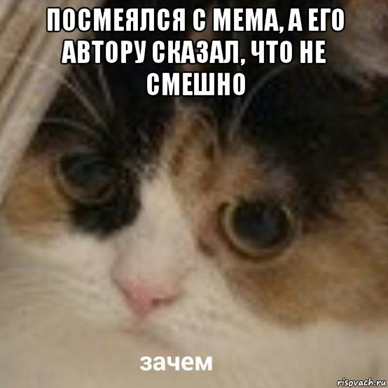 посмеялся с мема, а его автору сказал, что не смешно , Мем Зачем