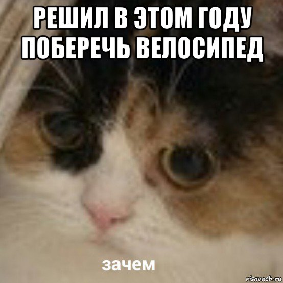 решил в этом году поберечь велосипед , Мем Зачем