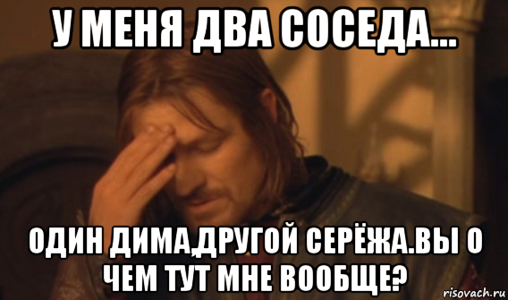 у меня два соседа... один дима,другой серёжа.вы о чем тут мне вообще?, Мем Закрывает лицо