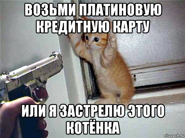 возьми платиновую кредитную карту или я застрелю этого котёнка