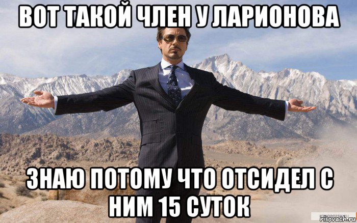 вот такой член у ларионова знаю потому что отсидел с ним 15 суток, Мем железный человек