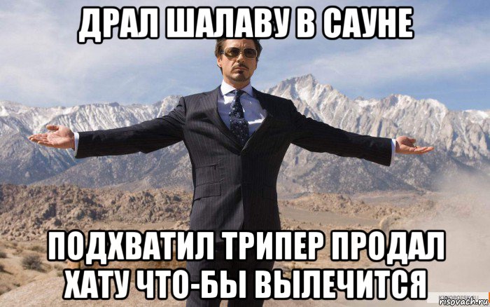 драл шалаву в сауне подхватил трипер продал хату что-бы вылечится, Мем железный человек