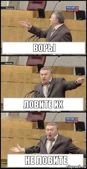 ВОРЫ ЛОВИТЕ ИХ НЕ ЛОВИТЕ, Комикс Жириновский разводит руками 3