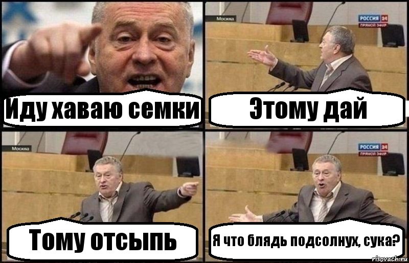 Иду хаваю семки Этому дай Тому отсыпь Я что блядь подсолнух, сука?, Комикс Жириновский