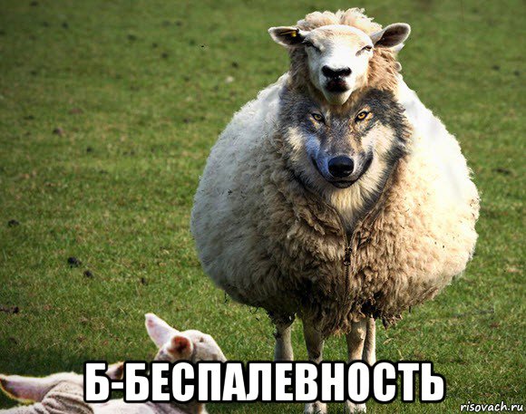  б-беспалевность, Мем Злая Овца