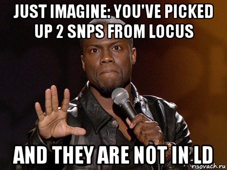 just imagine: you've picked up 2 snps from locus and they are not in ld, Мем  А теперь представь