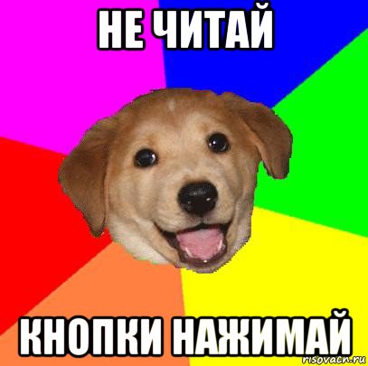 не читай кнопки нажимай, Мем Advice Dog