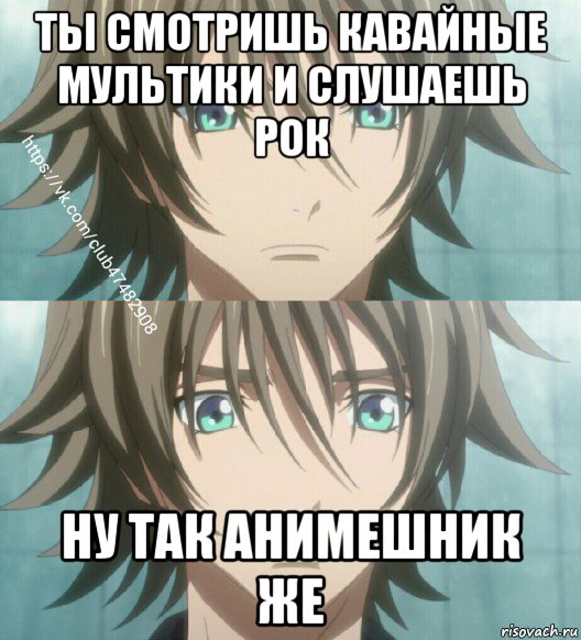 ты смотришь кавайные мультики и слушаешь рок ну так анимешник же