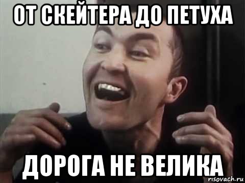 от скейтера до петуха дорога не велика