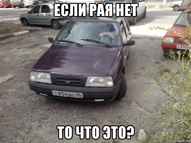 если рая нет то что это?