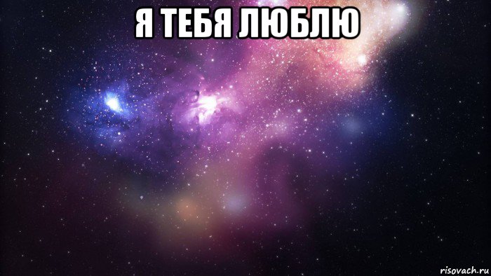 я тебя люблю 