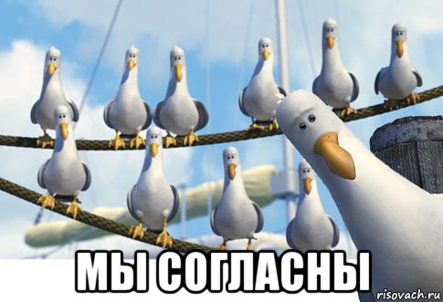  мы согласны