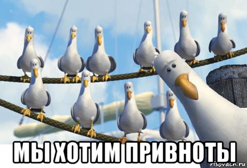  мы хотим привноты