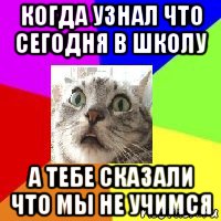 когда узнал что сегодня в школу а тебе сказали что мы не учимся