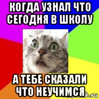 когда узнал что сегодня в школу а тебе сказали что неучимся