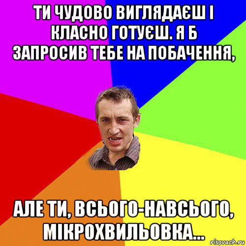 ти чудово виглядаєш і класно готуєш. я б запросив тебе на побачення, але ти, всього-навсього, мікрохвильовка..., Мем Чоткий паца