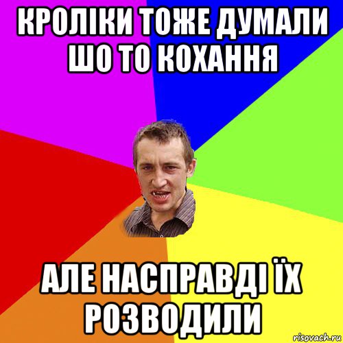 кроліки тоже думали шо то кохання але насправді їх розводили, Мем Чоткий паца