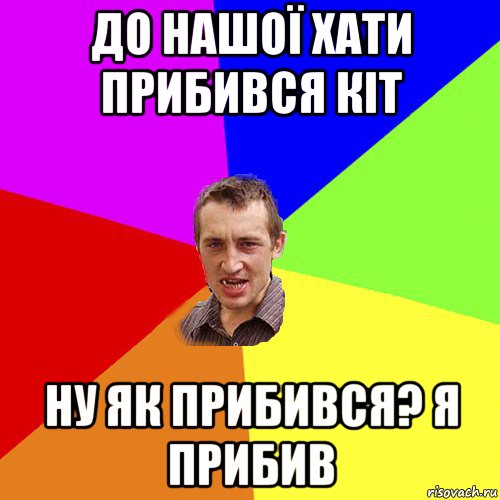 до нашої хати прибився кіт ну як прибився? я прибив, Мем Чоткий паца