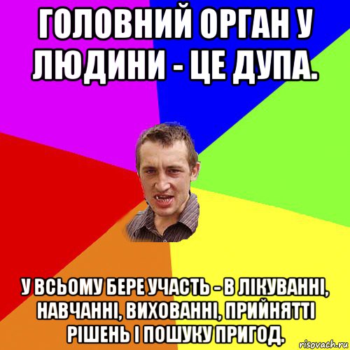 головний орган у людини - це дупа. у всьому бере участь - в лікуванні, навчанні, вихованні, прийнятті рішень і пошуку пригод., Мем Чоткий паца