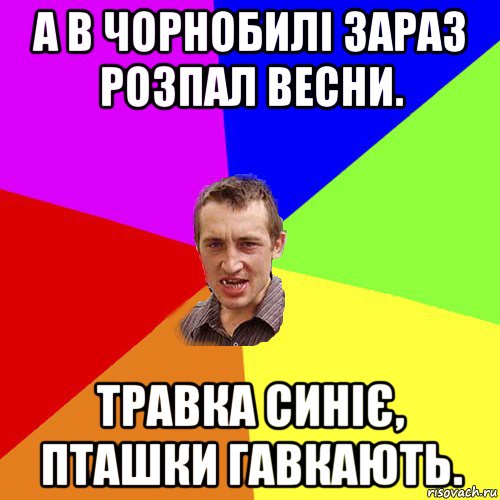 а в чорнобилі зараз розпал весни. травка синіє, пташки гавкають., Мем Чоткий паца