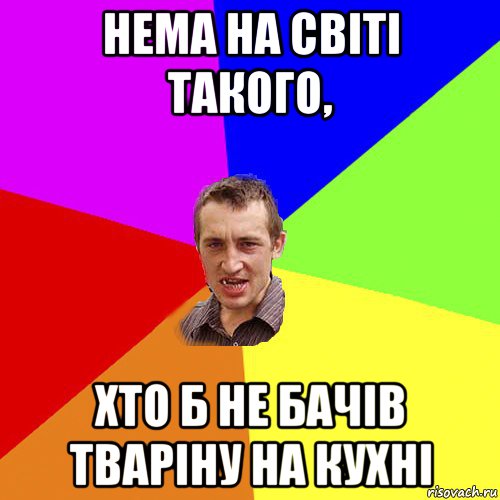 нема на світі такого, хто б не бачів тваріну на кухні, Мем Чоткий паца