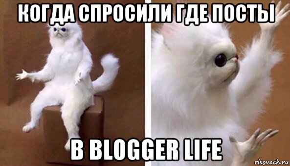 когда спросили где посты в blogger life