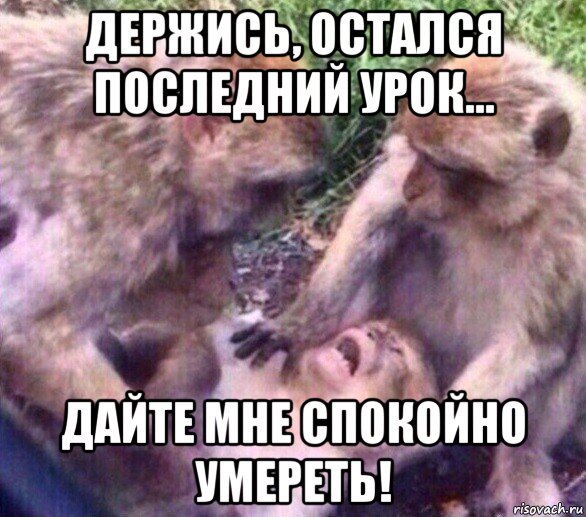 держись, остался последний урок... дайте мне спокойно умереть!