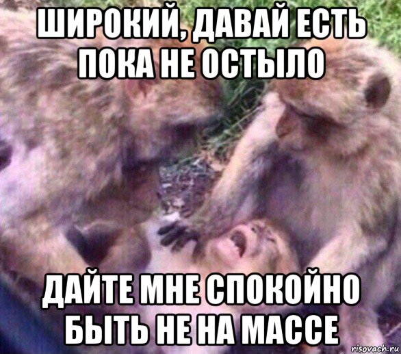 широкий, давай есть пока не остыло дайте мне спокойно быть не на массе