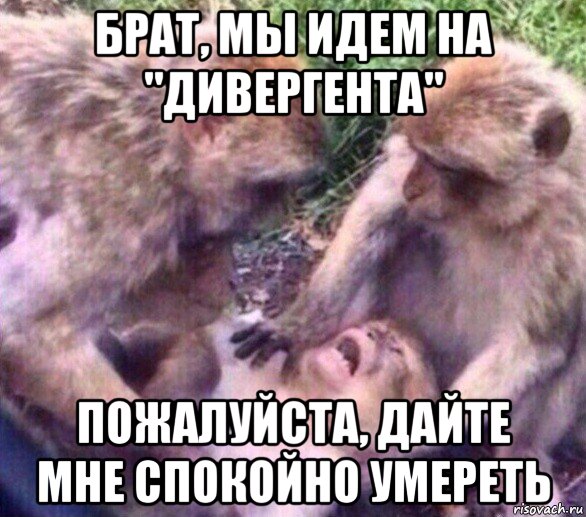 брат, мы идем на "дивергента" пожалуйста, дайте мне спокойно умереть