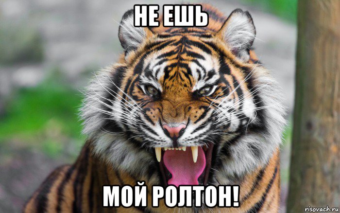 не ешь мой ролтон!