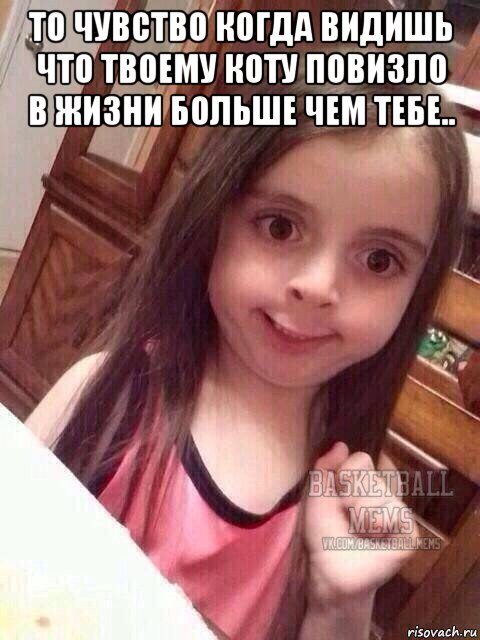 то чувство когда видишь что твоему коту повизло в жизни больше чем тебе.. 