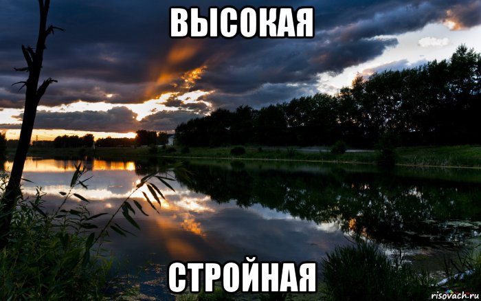 высокая стройная, Мем девушка моей мечты