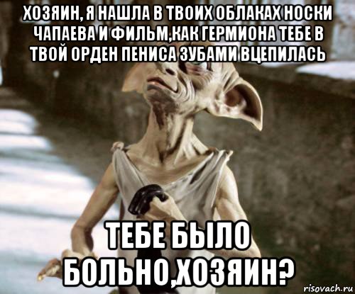 хозяин, я нашла в твоих облаках носки чапаева и фильм,как гермиона тебе в твой орден пениса зубами вцепилась тебе было больно,хозяин?, Мем добби