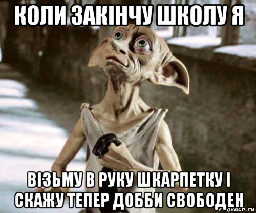 коли закінчу школу я візьму в руку шкарпетку і скажу тепер добби свободен, Мем добби