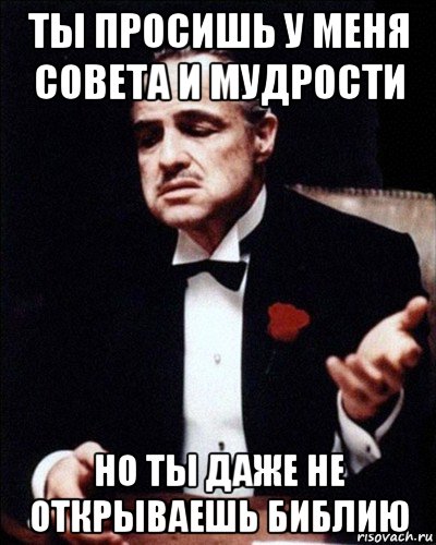 ты просишь у меня совета и мудрости но ты даже не открываешь библию