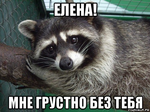 елена! мне грустно без тебя