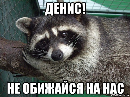 денис! не обижайся на нас
